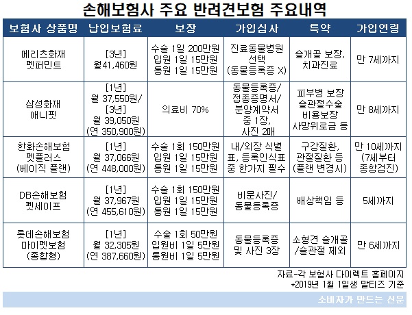 '강쥐'는 몇살까지 보험 가입될까?...펫보험 5종 비교해보니