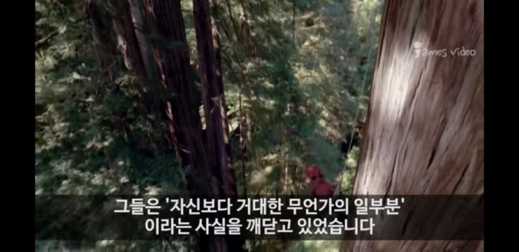  자신보다 더 거대한 무언가와의 연결
