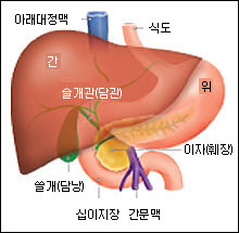 [췌장암 컨퍼런스]췌장암 케이스스터디, 간호과정, 간호진단자료입니다.  