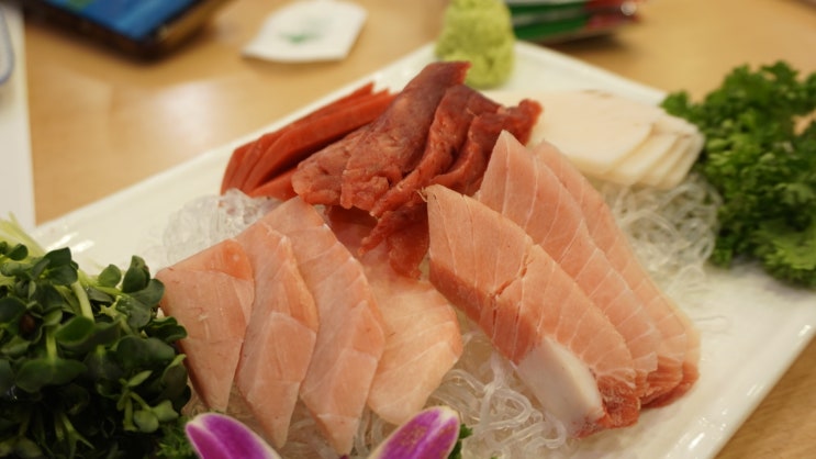  까치산역맛집 독도참치 무한리필?! 배부르게 먹어요~