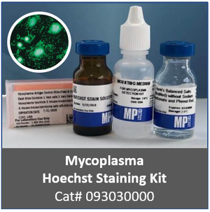 [메뉴얼] Mycoplasma Hoechst Stain Kit (영문, 한글)