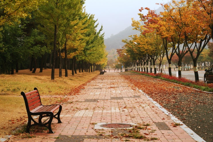  가을