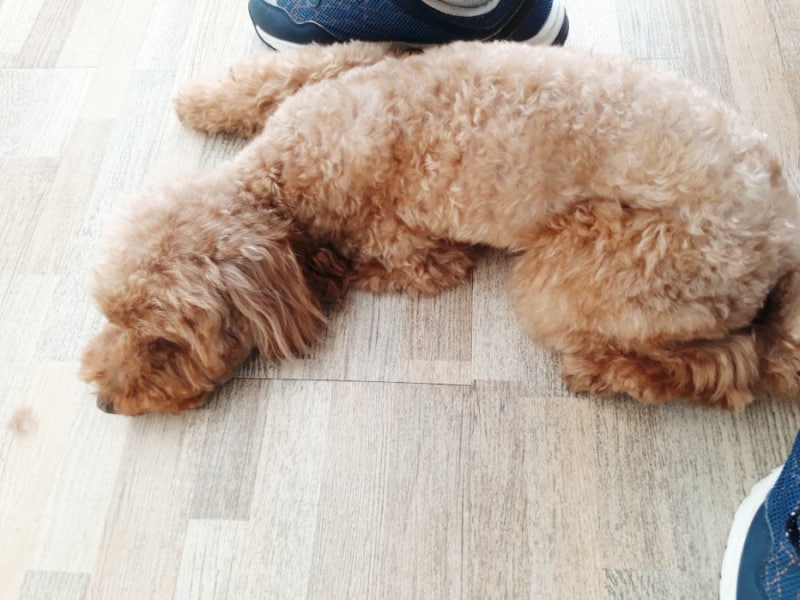 사진 8