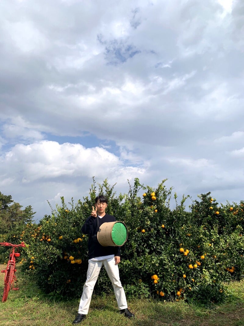 20191104 :: 제주도 2박3일 뚜벅이 여행 ① (서귀포 구들민박감귤체험, 외돌개, 올레시장) : 네이버 블로그