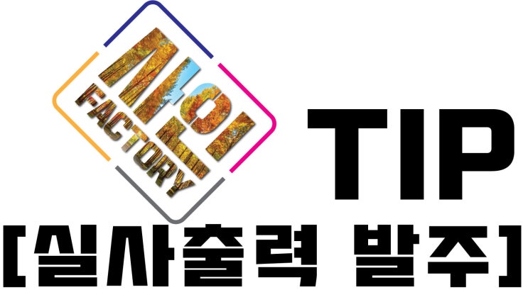  실사 출력발 주 팁