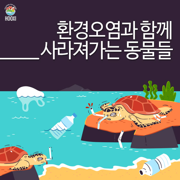  환경오염과 함께 사라져가는 동물들, 그리고 후시(HOOXI)