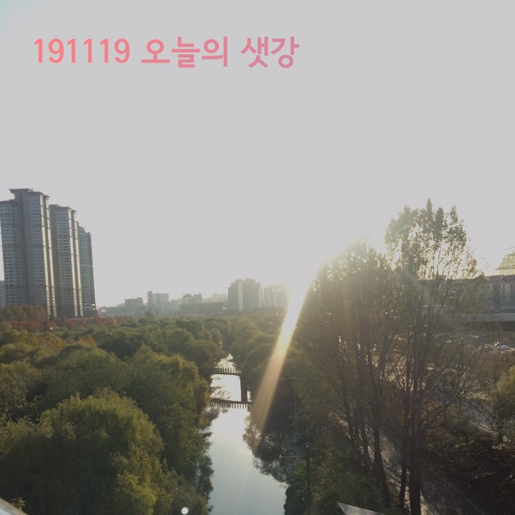  화수목