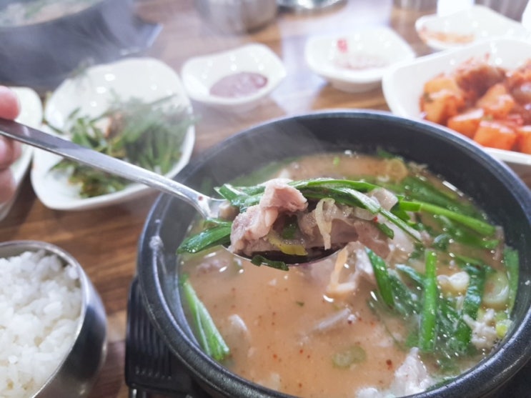 매스컴에서 극찬한 아제돼지국밥 김해율하점 솔직한 후기