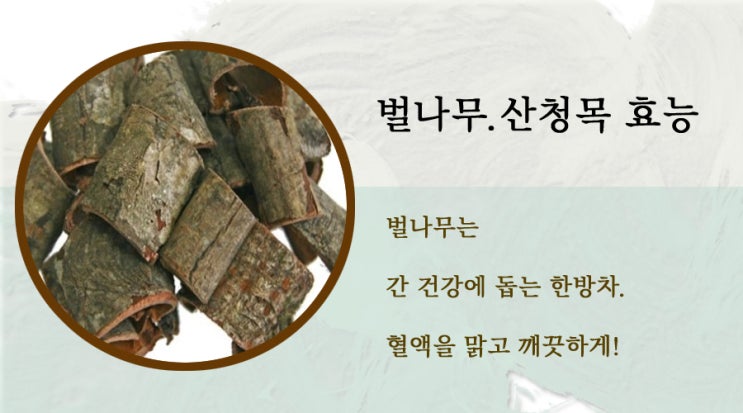  벌나무(산청목) 의 효능