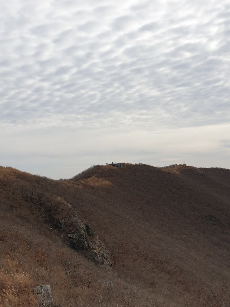 100대명산-13, 오서산 등산 코스(성연 주차장~시루봉~오서산)