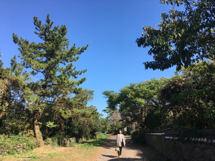  편안하게 산책하기 좋은 “저지문화예술인마을”