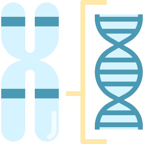  암세포를 악성으로 바꾸는 특별한 DNA