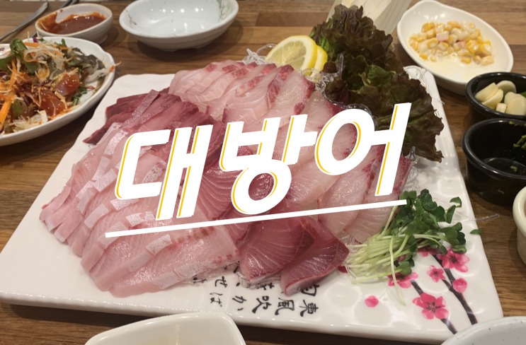  대방어 가격 저렴하게 맛보기_검암 맛집(홍석진의 맛있는 횟집)