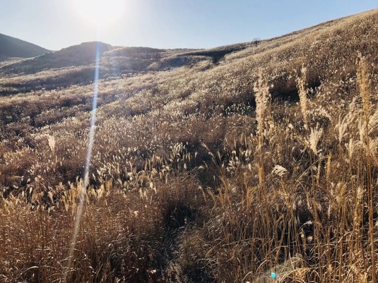 합천 황매산 억새 / 트래킹 등산 / 황매산 정상 합천 황매산 억새 / 트래킹 등산 / 황매산 정상