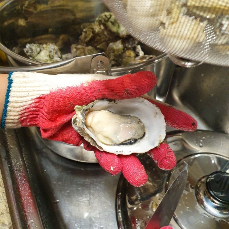  (일상) 친정아빠가 직접 따서 보내주신 자연산 굴~ 맛있게 냠냠 ㅎㅎ