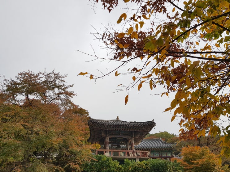  충남 가볼만한 곳 - 마음을 여는 길, 개심사