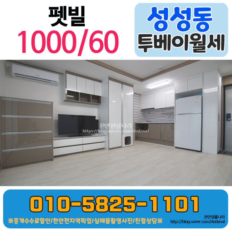  성성동 투베이 첫입주 반려동물 가능해요