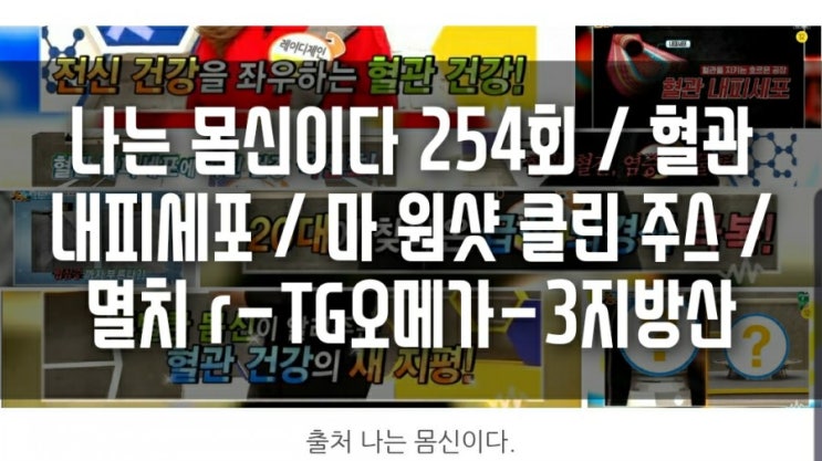 나는 몸신이다 254회 / 혈관 내피세포 / 마 효능 원샷 클린 주스 / 멸치 r-TG오메가-3지방산