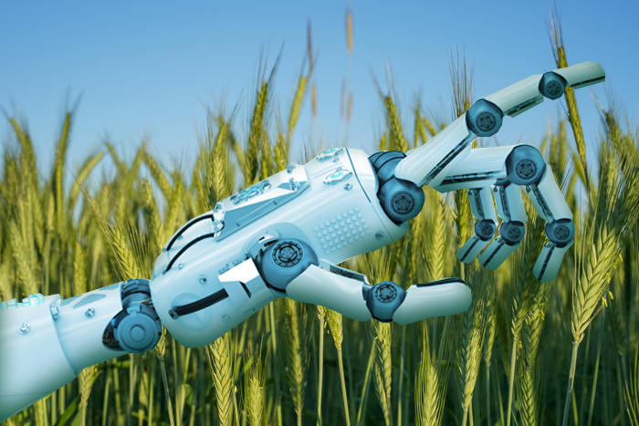 솔데스크 AI 인공지능 농업 프로젝트를 실현하다.