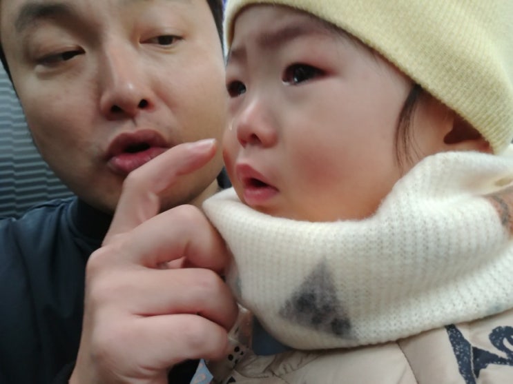  ~543)돌치레?