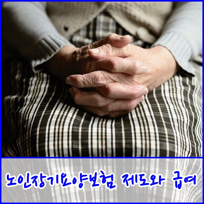 [파주금촌주간보호센터] 노인장기요양보험 제도와 급여