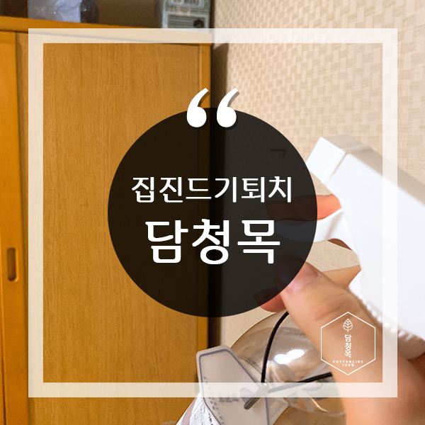  집진드기퇴치 할 때 좋은 '담청목'