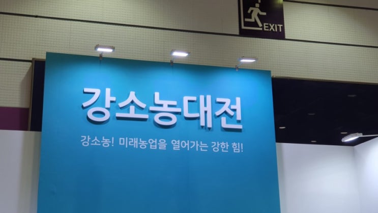  전국강소농대전 코엑스에서열다