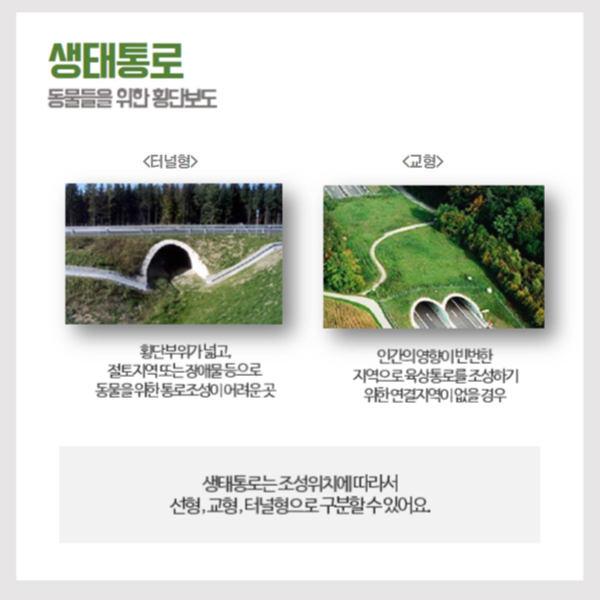 생태통로, 동물에게 다시 돌려주세요 : 네이버 블로그