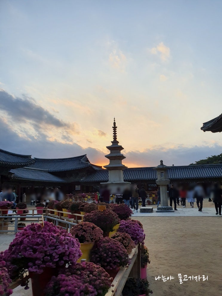  경주 2박3일 주말여행 2일차 :: 석굴암, 불국사