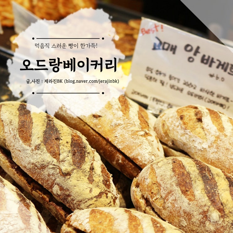  제주 함덕해수욕장 근처 맛있는 제주도 빵집 오드랑베이커리
