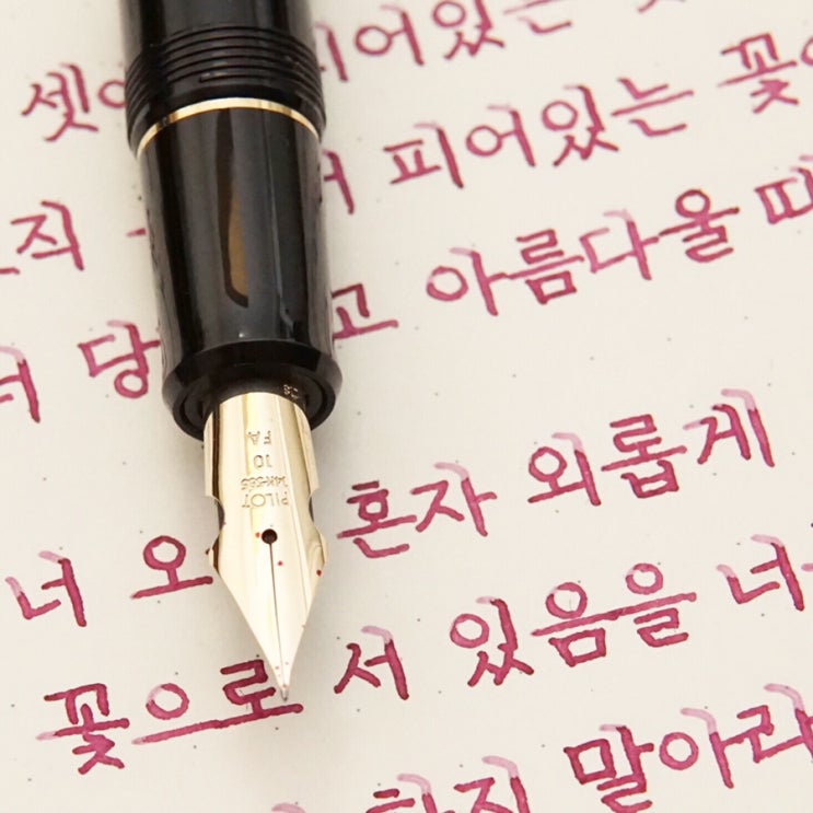  혼자서 (파이롯트 커스텀 742 fa닙)