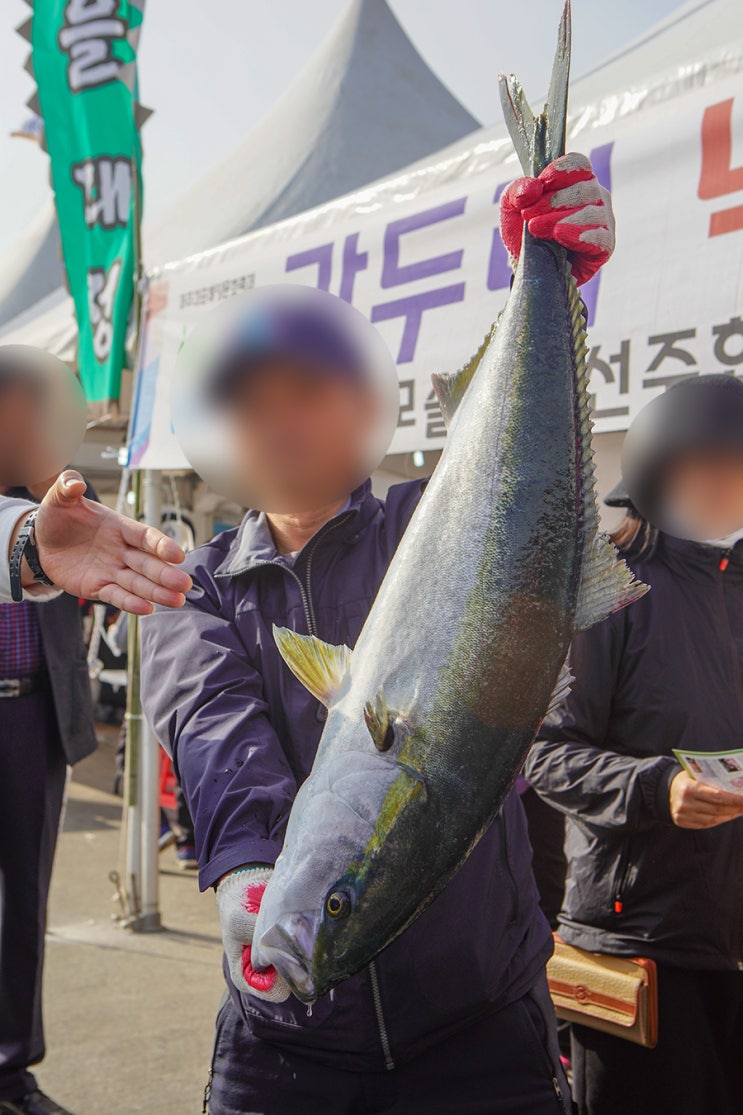  2019 최남단방어축제.
