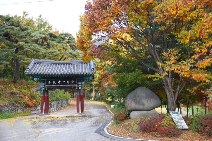  예산 향천사의 단풍