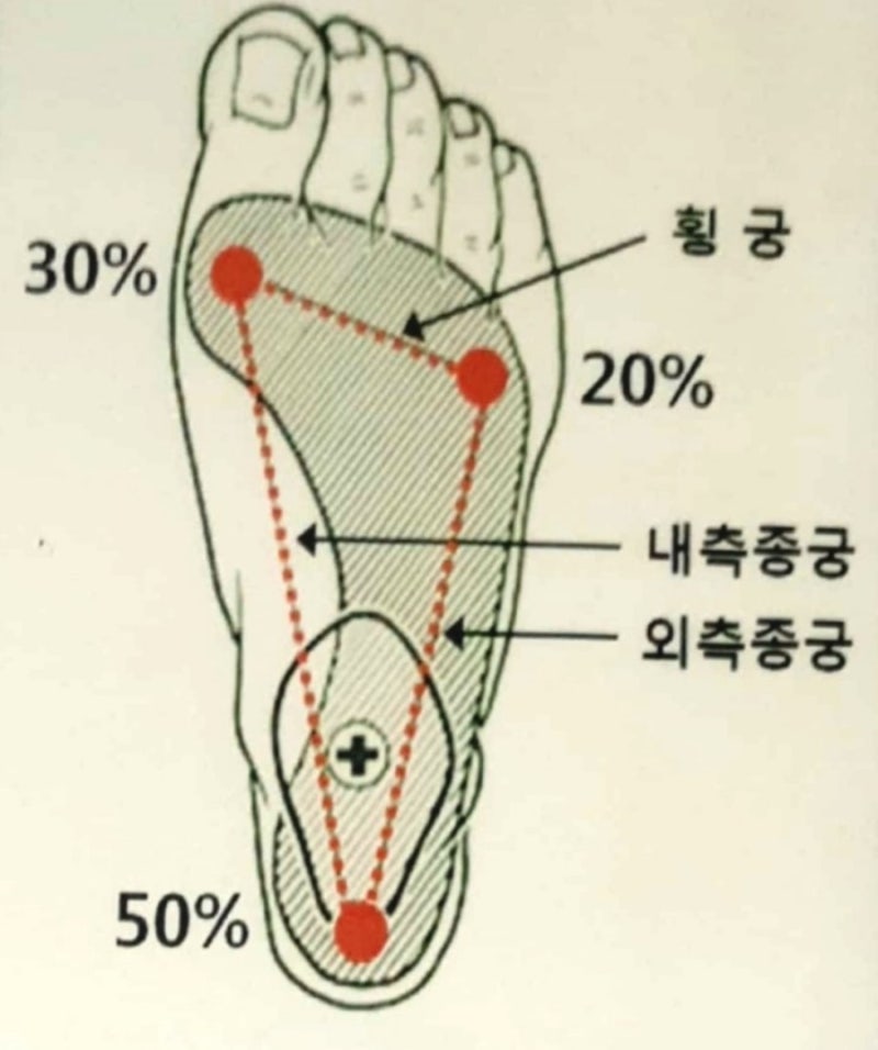 공부가양 이미지