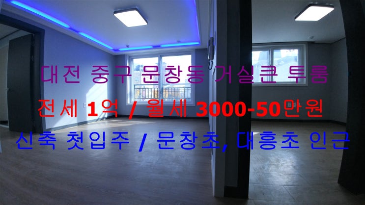  대전 중구 문창동 문창초, 대흥초 인근에 있는 신축 첫입주 !! 구조 이쁘게 나온 거실큰 투룸 저렴한 전세, 월세 모두 가능한 매물입니다 ^^