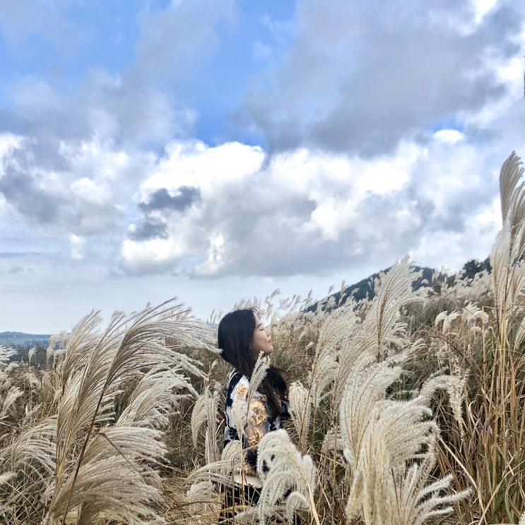  20191116 - 위또제(JEJU)