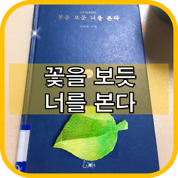  꽃을 보듯 너를 본다 (나태주시집)