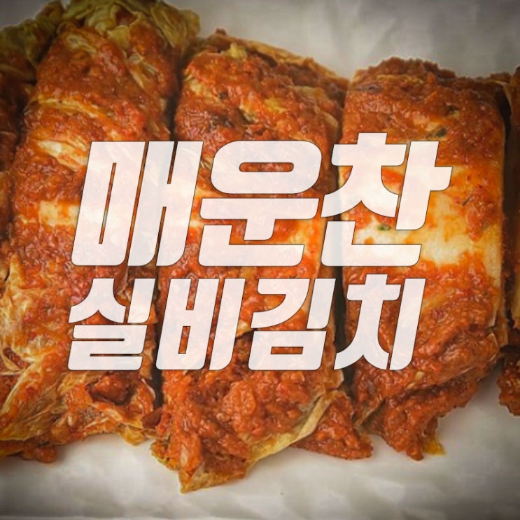  대전 매운찬 실비김치 직접 먹어본 후기