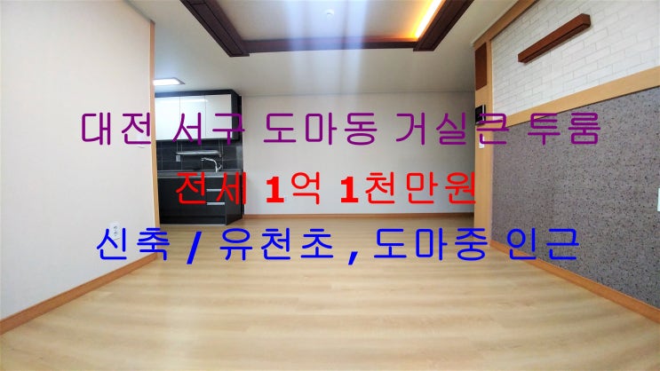  대전 서구 도마동 유천초, 도마중 인근에 있는 신축 ! 크게 나온 거실큰 투룸 전세 매물입니다 ^^