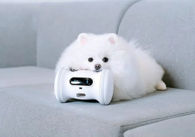  ‘펫테크’의 진화…로봇이 멍멍이와 놀아주고 간식도 준다(중앙.2019.11.23)