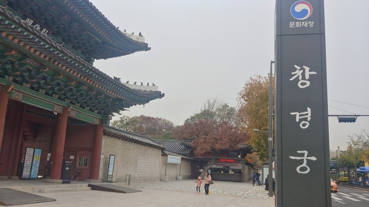 [서울] 창경궁 - 가장 많은 수난을 겪은 궁궐