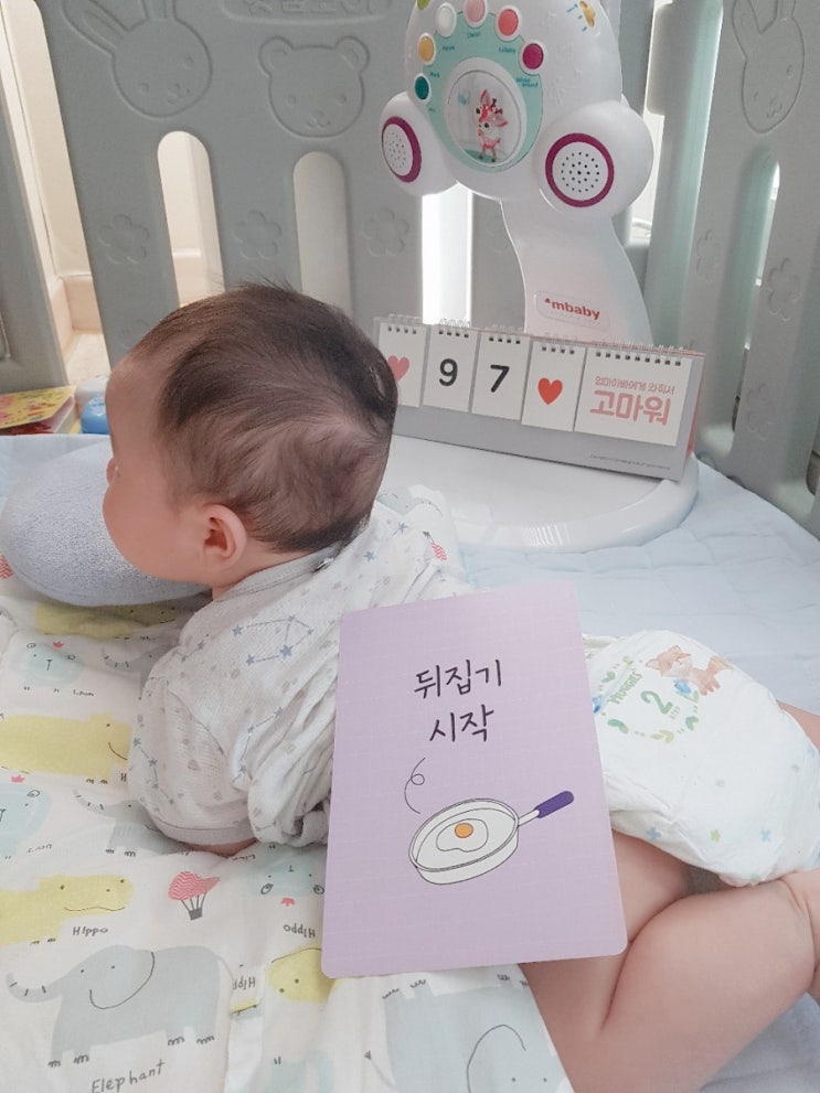  #97일, 뒤집기 시작?