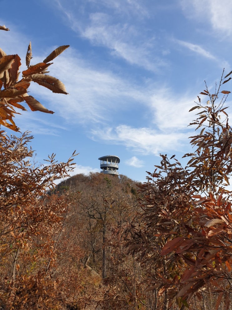 군산 신시도 대각산 등산 코스(꽃나무 슈퍼~대각산~몽돌 해수욕장)