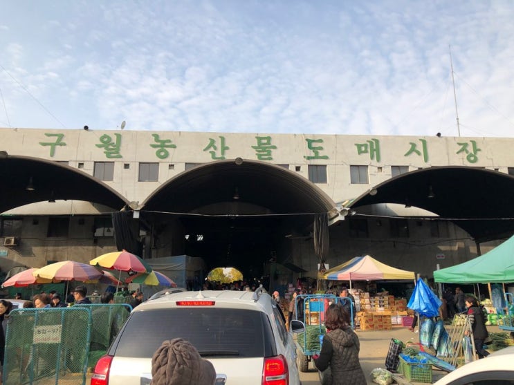 인천 구월 농산물 도매시장, 요새 김장철 전쟁통입니다