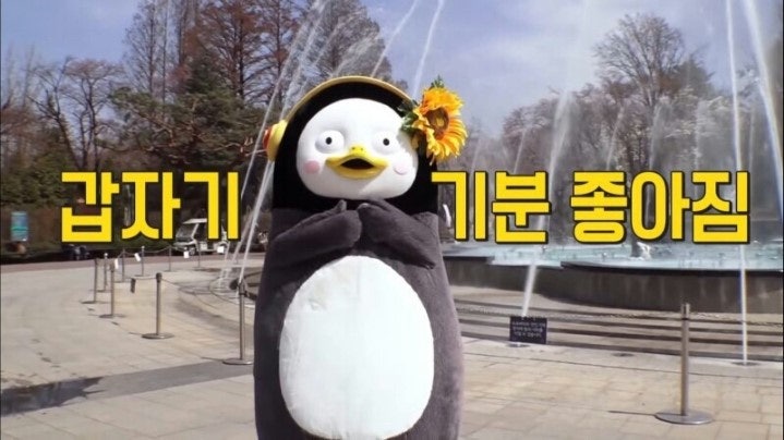 로하핏스튜디오 이미지