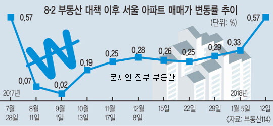  문제인 정부 부동산 정책과 영향
