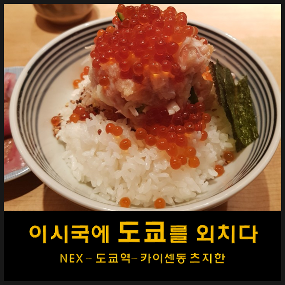  나홀로 도쿄 여행 - 1 (나리타익스프레스:나리타 공항에서 넥스 타는법/도쿄역/도쿄역 맛집 카이센동 츠지한)