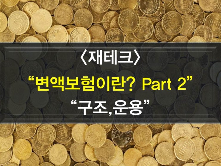  변액보험의 구조,운용방법 (일반계정,특별계정)