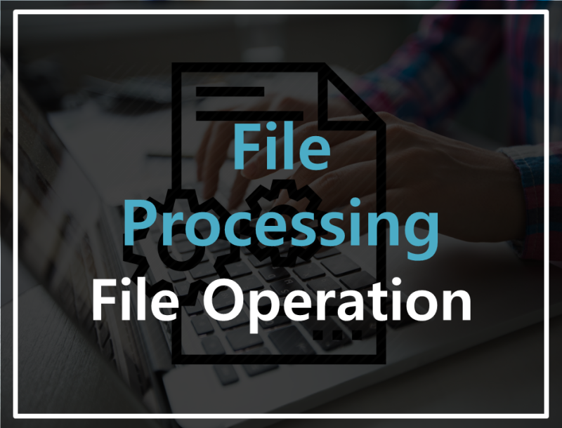 File Processing | File Operation : 네이버 블로그