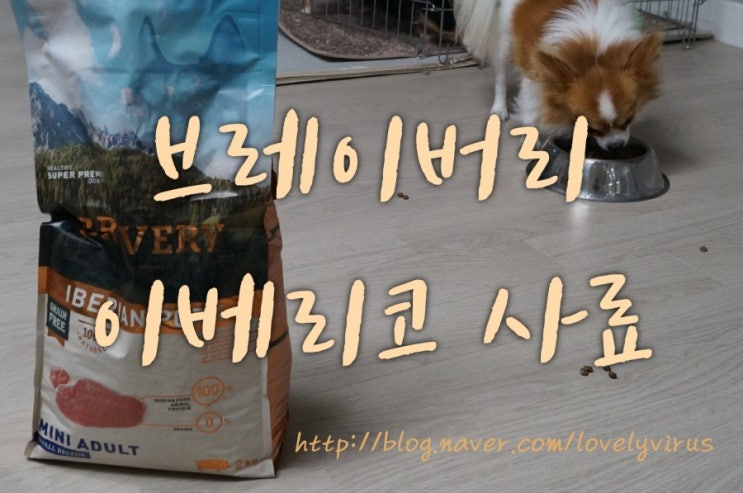  브레이버리사료 반려견을 위한 건강한 선택!!